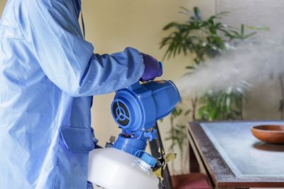 Commercial Fumigation in Madison, WI
