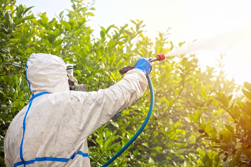 Fumigation Service in Wilmington, NC