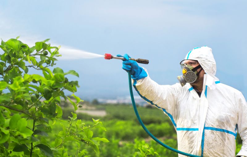 Rat Fumigation Service in San Jose, CA