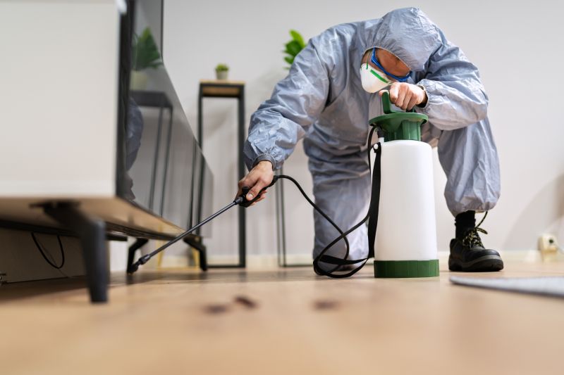 Rat Fumigation Service in West Palm Beach, FL