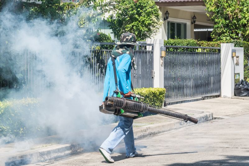 Roach Fumigation in Katy, TX